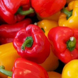 Bell Pepper
